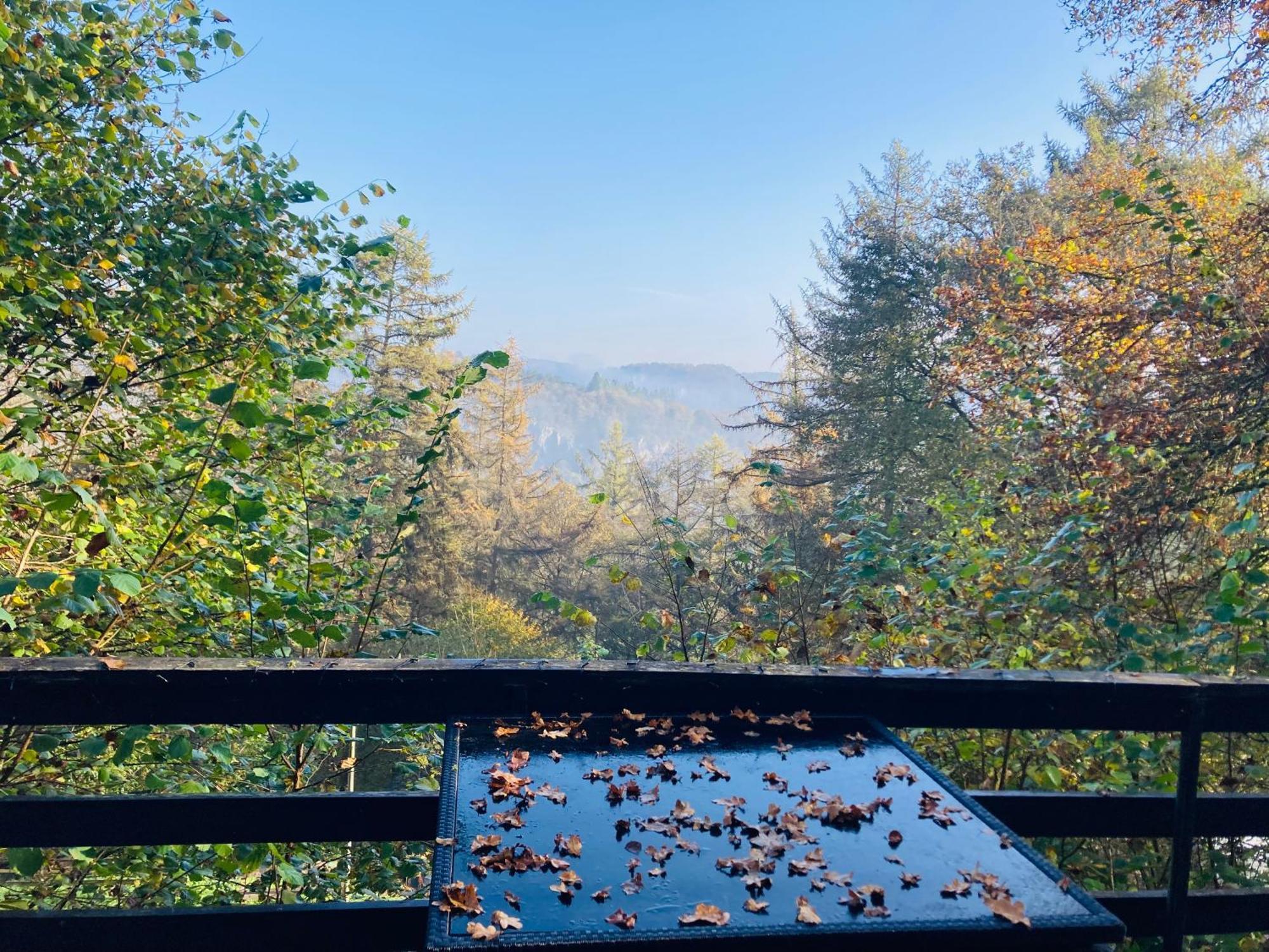 Woody Lodge - Duplex Nature Bonsoy Ardennes Hastiere-par-dela Экстерьер фото
