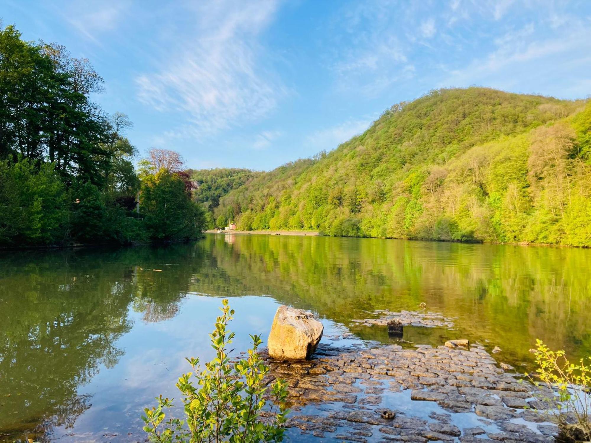 Woody Lodge - Duplex Nature Bonsoy Ardennes Hastiere-par-dela Экстерьер фото