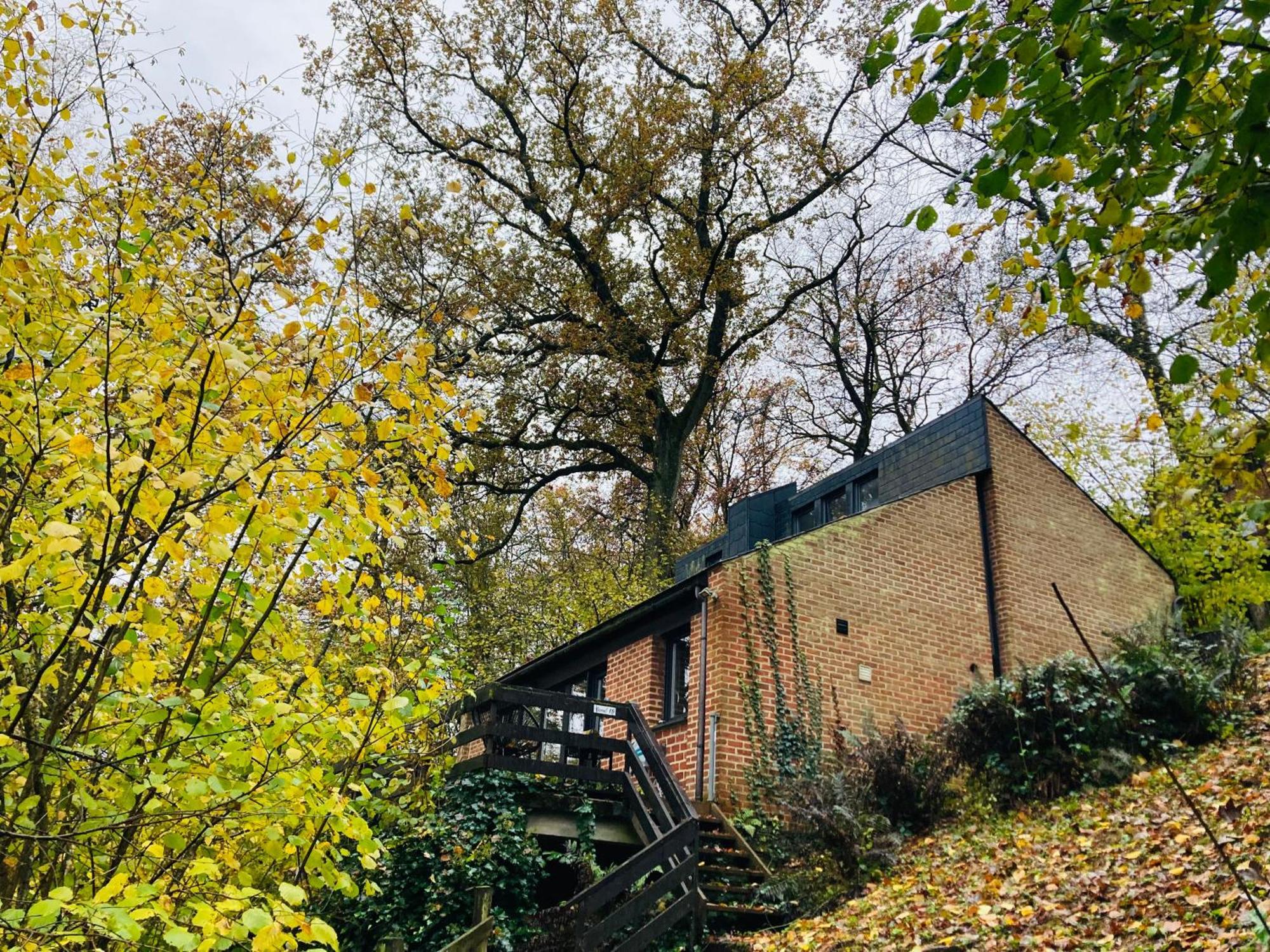 Woody Lodge - Duplex Nature Bonsoy Ardennes Hastiere-par-dela Экстерьер фото